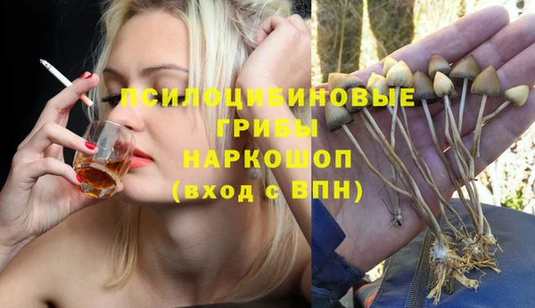 крисы Алзамай