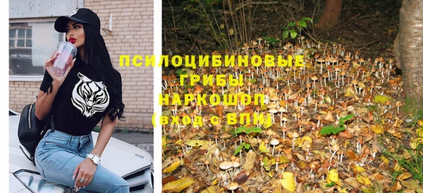 винт Алексеевка